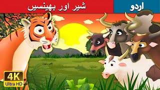 شیر اور بھینسیں | Tiger and Buffaloes in Urdu | Urdu Story | Urdu Fairy Tales