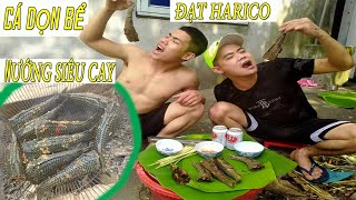 Cá Dọn Bể Nướng Siêu Cay - Super spicy grilled fish ll ĐẠT HARICO