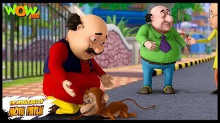 Motu Patlu New Episodes | Cartoons | Kids TV Shows | Monkey Trouble | Wow Kidz