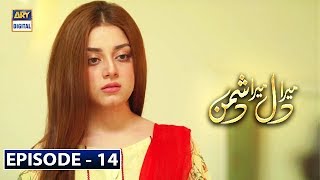 Mera Dil Mera Dushman Episode 14 | 4th March 2020 | ARY Digital Drama [Subtitle Eng]