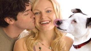 A kutyakomédia 2007 (teljes film)